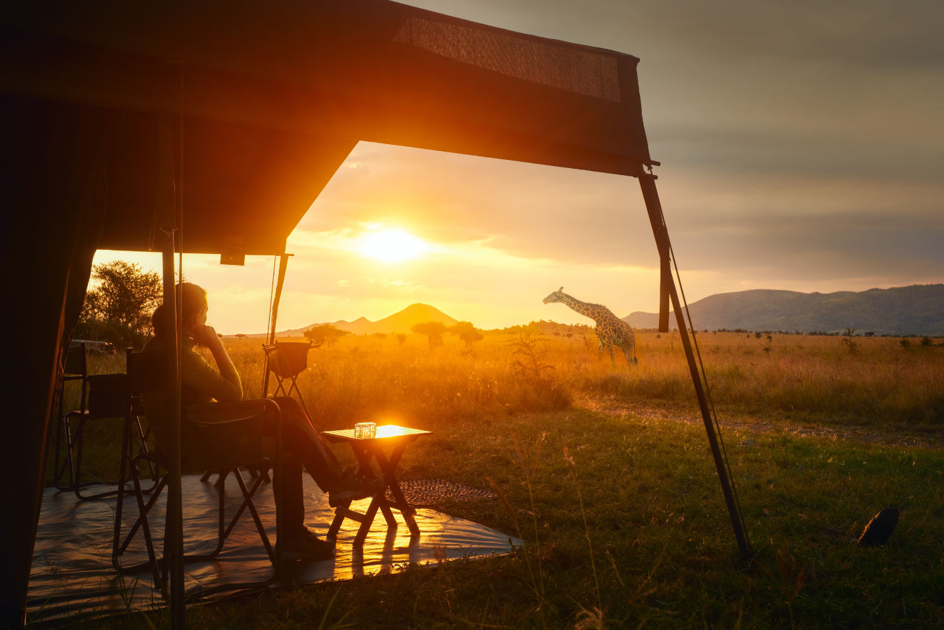 Sunset watching a giraffe