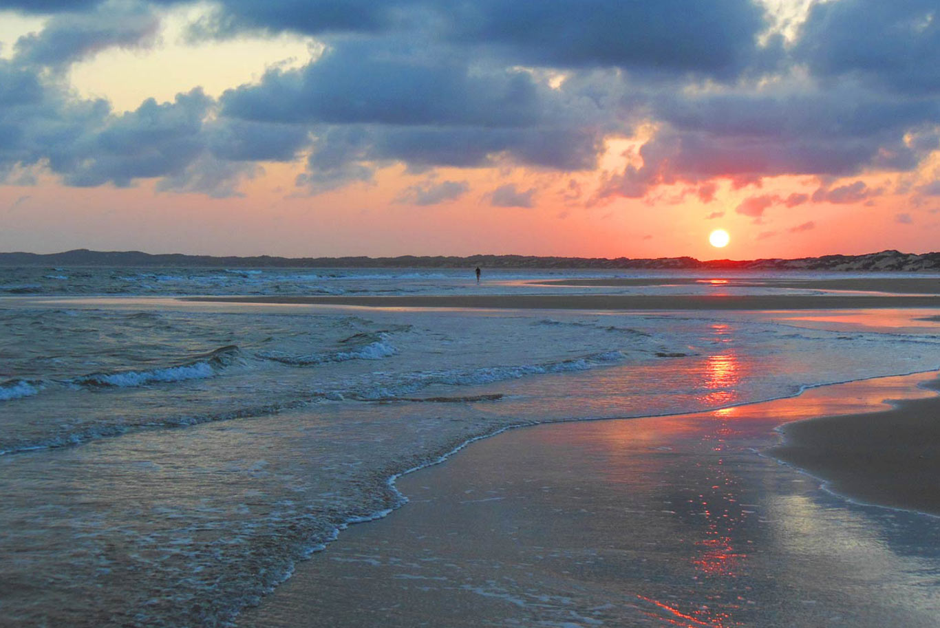 Shore at sunset