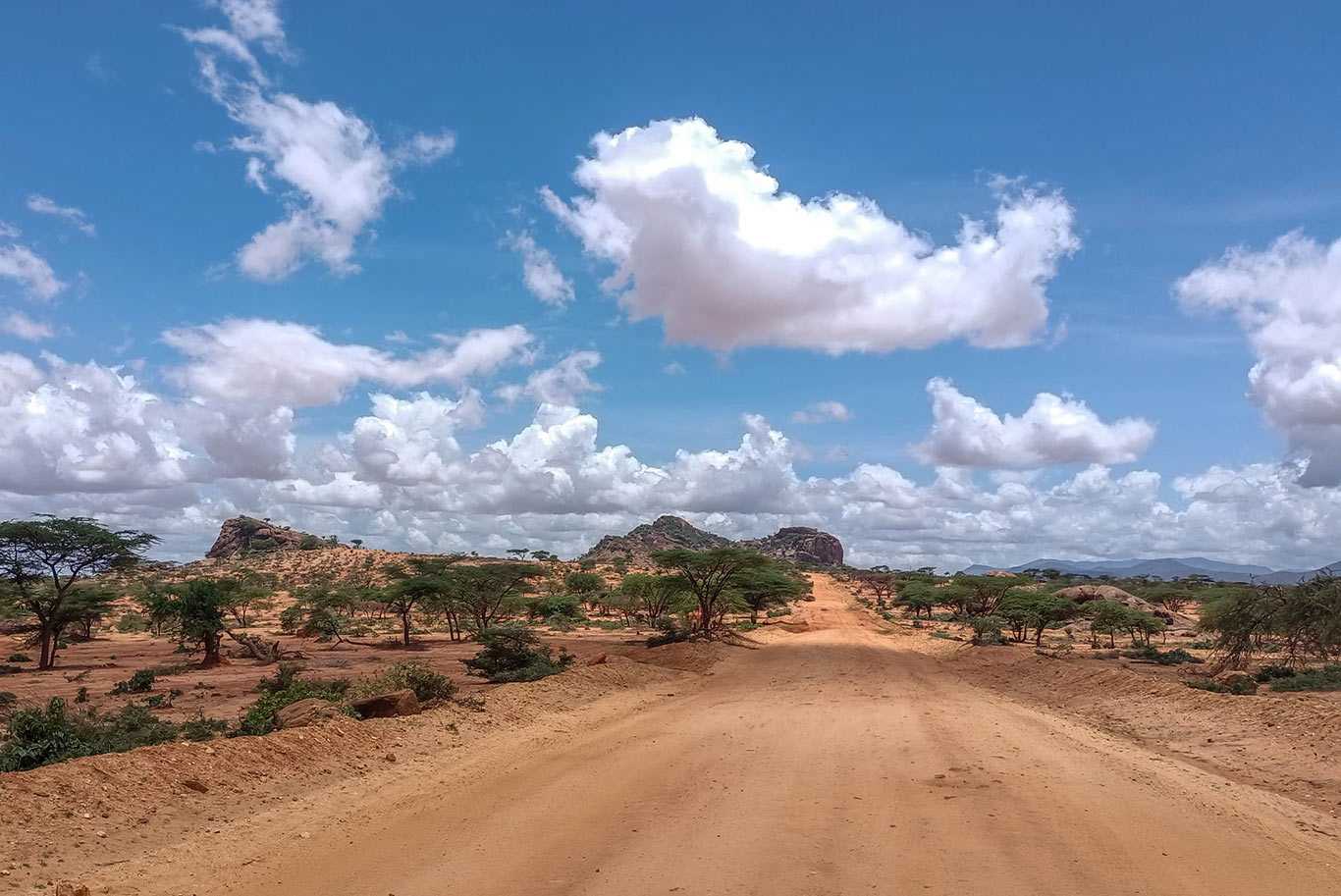 Scenic road view